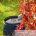 55 Gallon Rain Barrel Kit